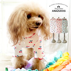 ڃutgbvX hbOEGA ^ 񂸃hbO  킢 ybg t