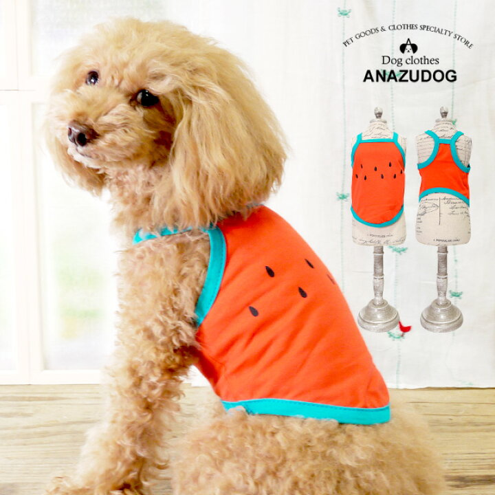 可愛い ペット服 ♡ スイカ柄 キャミソール S Size 犬用品 | oilred.com