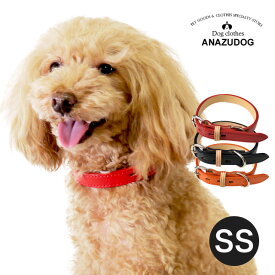 レザースタイルカラー SS 犬猫 お散歩 ペット用品