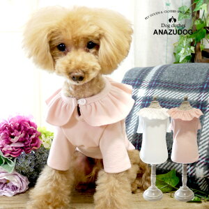 【アウトレット】フリル襟 カットソー ドッグウエア 小型犬 犬服 かわいい ペット 秋冬