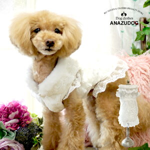 t@[t [XhX hbOEGA ^  tH~