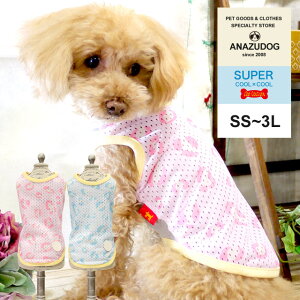 2021 eN[ Ip[h^N SS`3L hbOEGA ^  t N[N`[ 12337