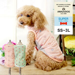 y݌Ɍz2021 eN[ L^N SS`3L hbOEGA ^  t N[N`[ 12341