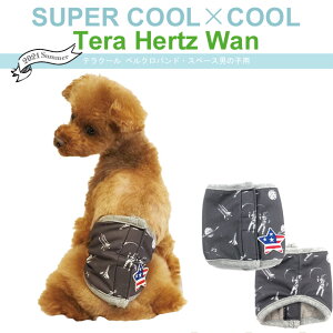 y݌Ɍz2021tĐV eN[ xNohEXy[Xj̎qp SS`3L 7243  hbOEFA  ^`^ ybgpi N[N`[