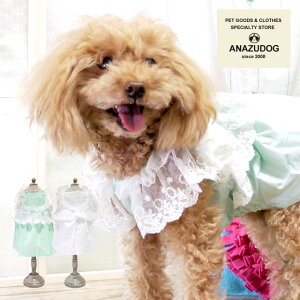 yAEgbgzt[Xs[X hbOEGA ^ L  킢 ybg t