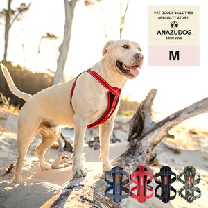 C[W[hbO EZ n[lX M hbOEGA  ybg U