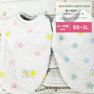 y݌ɌzewcEXe{A^N SS`FBL 12364 킢 ybg H~ hbOEFA ^`^ N[N`[