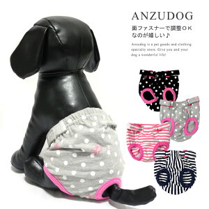 Tj^[}i[pc AirBallooniGAo[j gCpi   ybg