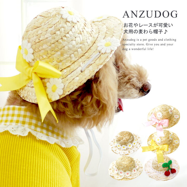 楽天市場 お花とレースの麦わら帽子 ペットハット ドッグウエア 小型犬 犬服 かわいい ペット 春夏 Anzudog あんずドッグ Anzudog あんずドッグ