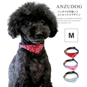 azeria A[A Wj[^b`J[ M ցiJ[j hbOEGA  킢 ybg U ANZUDOGi񂸃hbOj