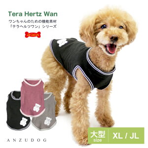 2022 ewc LLxAby^N XL/JL 12385 ^ ^  앞 N[N`[ ANZUDOG