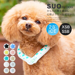 2023 SUO 28 ICE COOL RING N[O XSB SSB {^t p ybg ⊴ MǑ΍