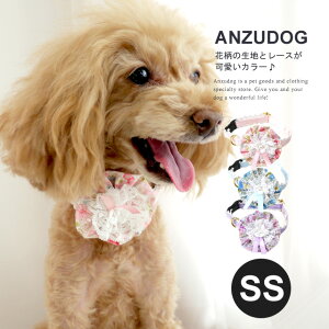 v`t[J[ SS DK129 Luludollih[j U ^  킢 ybg