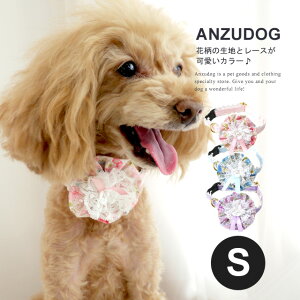 �v�`�t�����[�J���[ S DK129 Luludoll�i�����h�[���j ���U�� ���^�� ���� ���킢�� �y�b�g