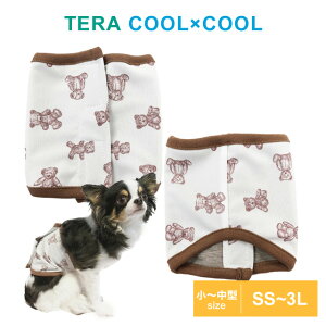 y݌Ɍz2023ĕV eN[ gxAxNeohBOY 7285 SS`3L N[N`[ ^ ^