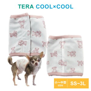 y݌Ɍz2023ĕV eN[ gxAxNeohGIRL 7286 SS`3L N[N`[ ^ ^