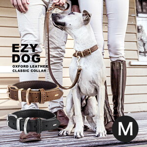 EZYDOG C[W[hbO EZ U[J[ M p hbOEFA U