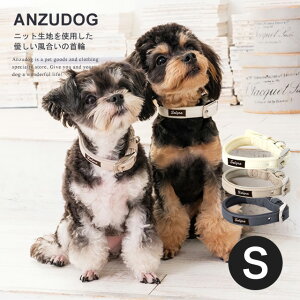 Solgra \O i`jbg J[iցj S U ^  킢 ybg sol24842492