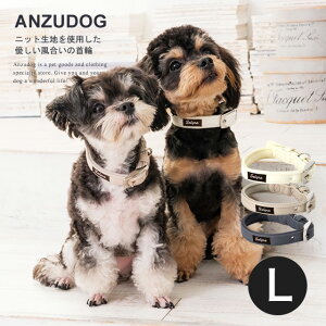 Solgra \O i`jbg J[iցj L U ^  킢 ybg sol24842492