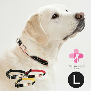 y^vX YORISOUJ[  L hbOEFA ^ PApi pi s⏕