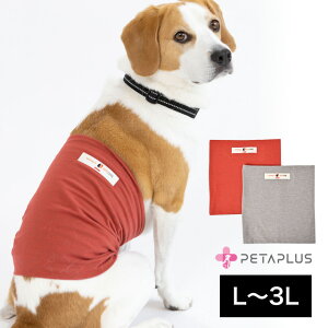 y^vX HARAMAKI  L 2L 3L hbOEFA `^ PApi pi s⏕