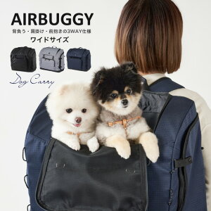 AIRBUGGY GAoM[ 3way obNpbNL[ Ch bN  L ybgL[ s h ʉ@