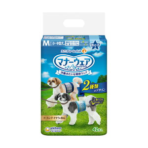 jE`[ }i[EFA j̎qpMTCY `FbNE`FbN 42  gC }[LOh~