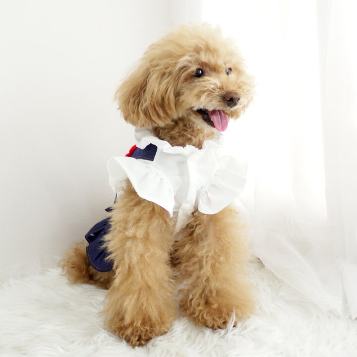 楽天市場】ニットフラワー デニムワンピース ドッグウエア 小型犬 犬服 