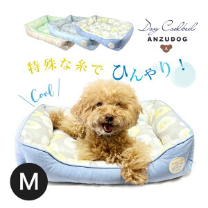 }[xXN[ XNGAxbhڐG⊴ M Ђf  L ybg NbV t ANZUDOGi񂸃hbOj