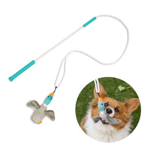 OUTWARD HOUND�@�e�C���e�B�[�U�[�~�j�g �h�b�O�g�[�C �������� ���p �y�b�g�p�i