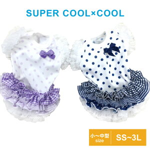 y݌Ɍz2024ĕV X[p[N[×N[ }C SS`LT 12447 ^ ^ hbOEFA  N[N`[