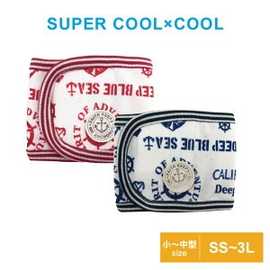 y݌Ɍz2024ĕV }i[oh X[p[N[×N[ }[}i[oh SS`3L 7310 hbOEFA  N[N`[