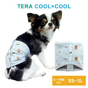 y݌Ɍz2024ĕVxNeoh eN[ xCr[xAohBOY SS`3L 7308 hbOEFA  N[N`[