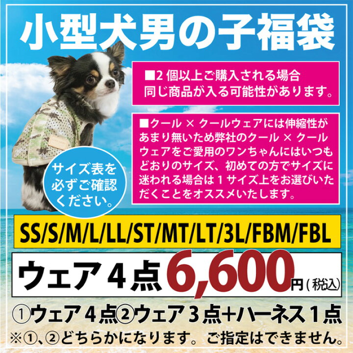 楽天市場】【在庫限り】2024クークチュール夏福袋 SS〜3L ウェア4点 