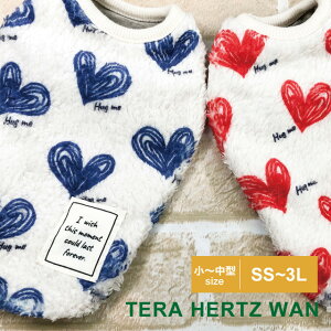 y݌Ɍz2024N[N`[H~V ewcEVF[^N 12463 SS`3L  hbOEFA