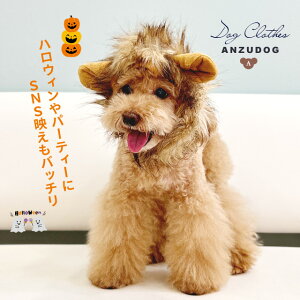 CI蕨 RX`[ ^p nEB SNS p[eB  hbOEFA