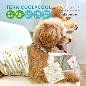 eN[ t[efBxAxNeoh n  ^ hbOEFA  N[N`[ 񂸃hbO ANZ-17 ANZ-18