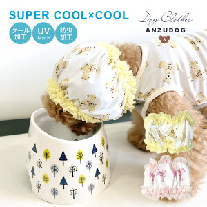 X[p[N[×N[ t[efBxAXk[h Jo[ n  ^ hbOEFA  N[N`[ 񂸃hbO ANZ-19