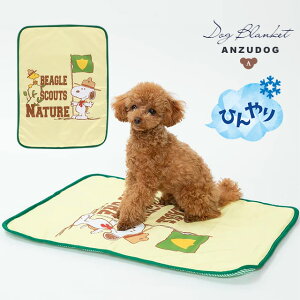 X[A[Y Xk[s[ N[uPbg XJEg  L ⊴ t  hbO}bg