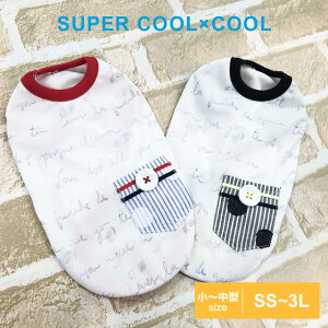 2023ĕV hbOEFA X[p[N[×N[ vG^N 12417 SS`3L N[N`[