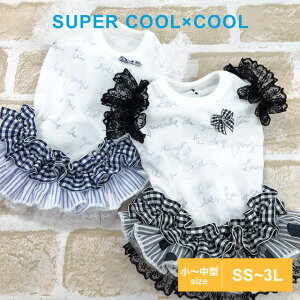 2023ĕV hbOEFA X[p[N[×N[ vGs 12414 SSLT N[N`[   ⊴