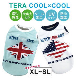 2025ĕV eN[ IeK^N XL`SL 12471 ^ hbOEFA  N[N`[