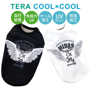 2025ĕV eN[ EBO^N SS`3L 12476 ^ ^ hbOEFA  N[N`[