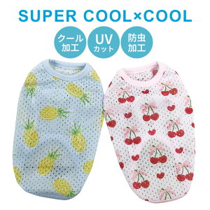 2025ĕV X[p[N[×N[ t[eB[^N SS`3L 12470 ^ ^ hbOEFA  N[N`[