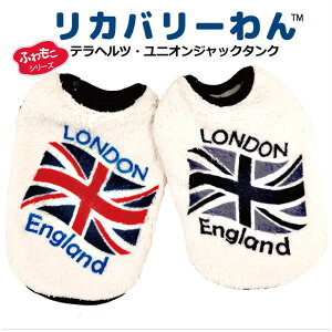 2025N[N`[H~V Jo[ ewcEjIWbN^Ni2Fj 12496 SS`3L  hbOEFA