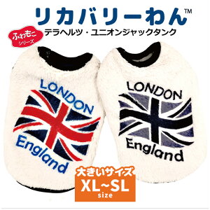 2025N[N`[H~V Jo[ ewcEjIWbN^Ni2Fj 12496 XL`SL  ^ hbOEFA