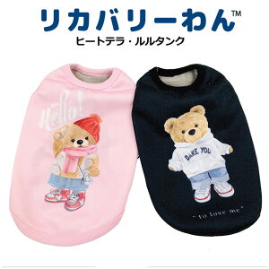 2025N[N`[H~V Jo[ q[geE^Ni2Fj 12492 SS`3L  hbOEFA