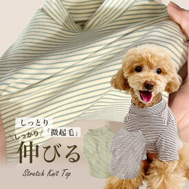 ボーターハイネックTシャツ 微起毛 伸縮性あり ドッグウェア 犬服 小型犬 ペット ANZUDOG（あんずドッグ）