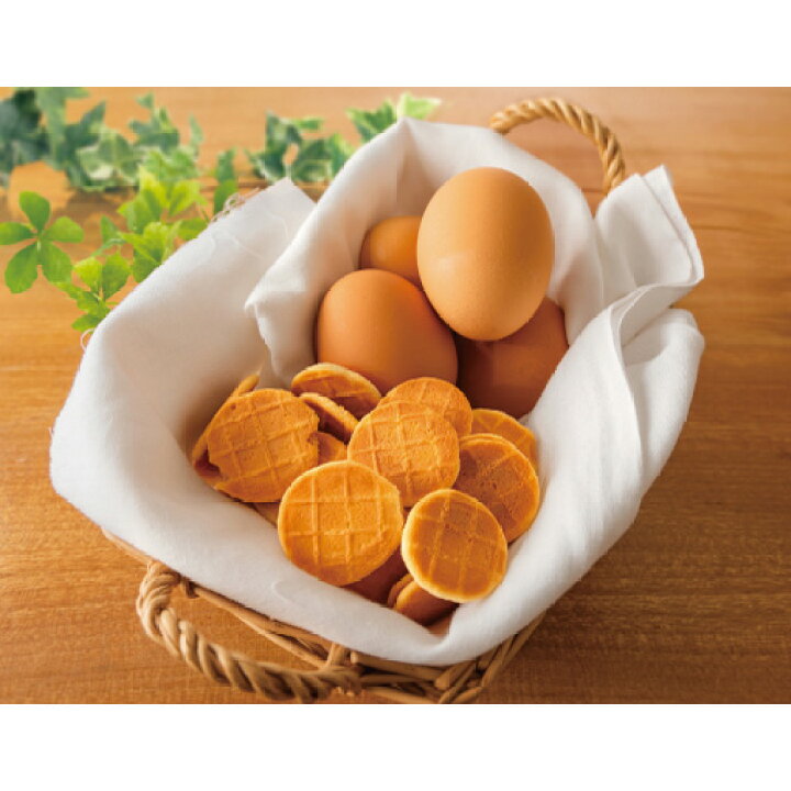 ドットわん 平飼いたまごせんべい 老犬 成犬 オールライフステージ 全成長段階 60g おやつ 子犬 ドットわん 平飼いたまごせんべい 老犬 成犬 オールライフステージ 全成長段階 60g おやつ 子犬