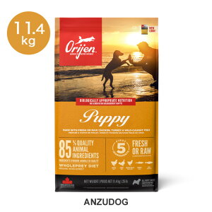 orijen �I���W�� �p�s�[ 11.4kg ���p �h�b�O�t�[�h �h���C�t�[�h